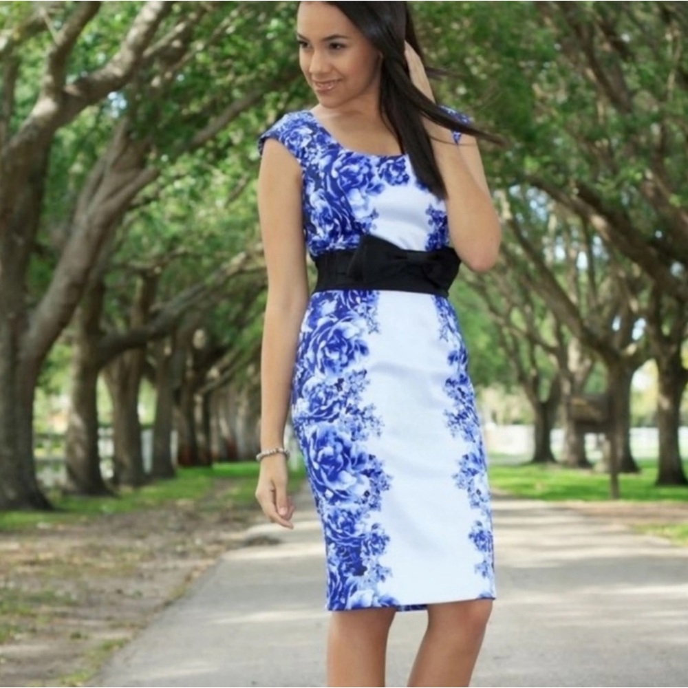 White House Black Market Blue and White Floral Dress